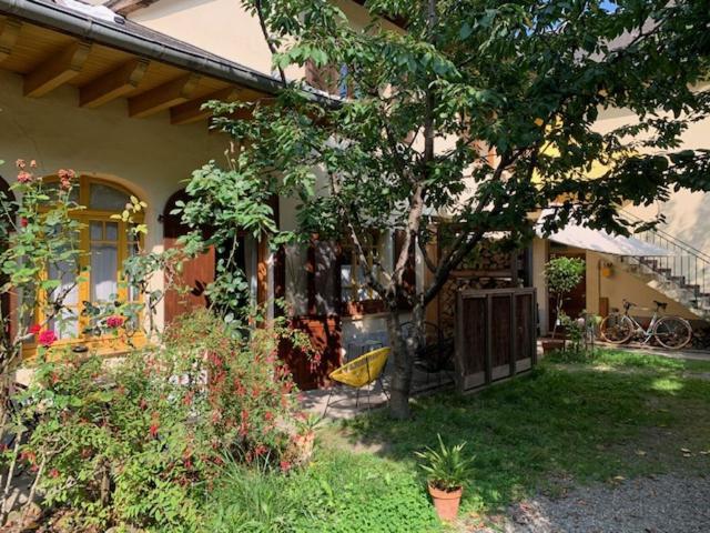 Charmant Appartement Sur Cour, Le Berlingott Баньєр-де-Бігорр Екстер'єр фото